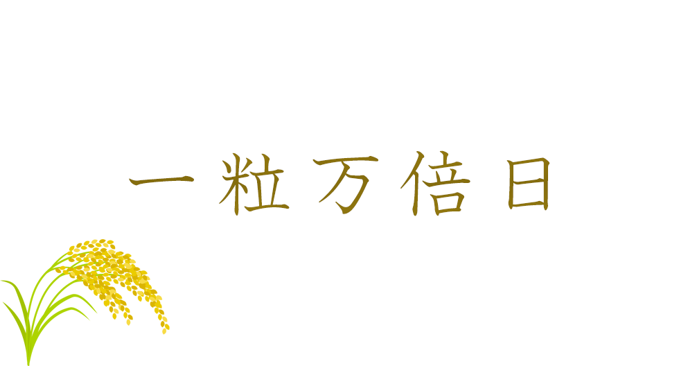 一粒万倍日（いちりゅうまんばいび）｜万倍になって返ってくる