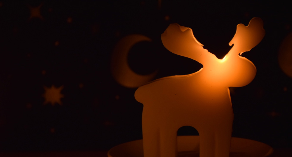 お財布を使い始める前に 最適な吉日 季節 時間帯を知って21年を金運アップ元年に いとしのクロコ 知って 見て クロコダイルのすべて 国内最大級 池田工芸監修 エキゾチックレザー専門メディア