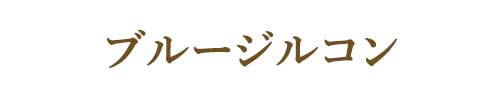 12月の誕生石ブルージルコン