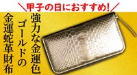甲子の日におすすめ!池田工芸オールゴールドパイソン財布