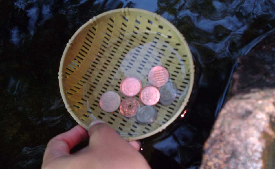 種銭用の小銭を洗う