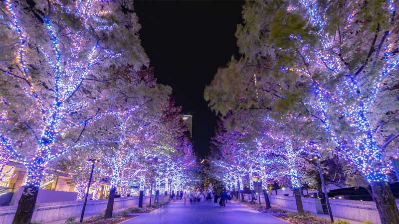 締め財布の画像