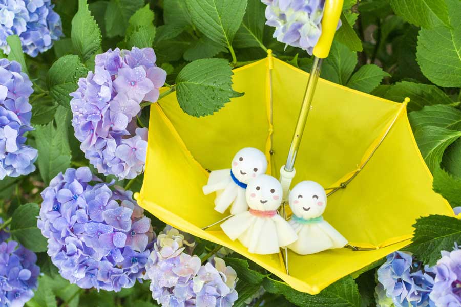 夏財布の時期は梅雨