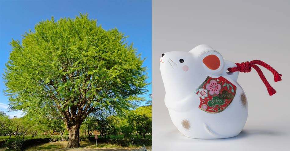 十干の甲と十二支の子